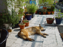 DSC01467
